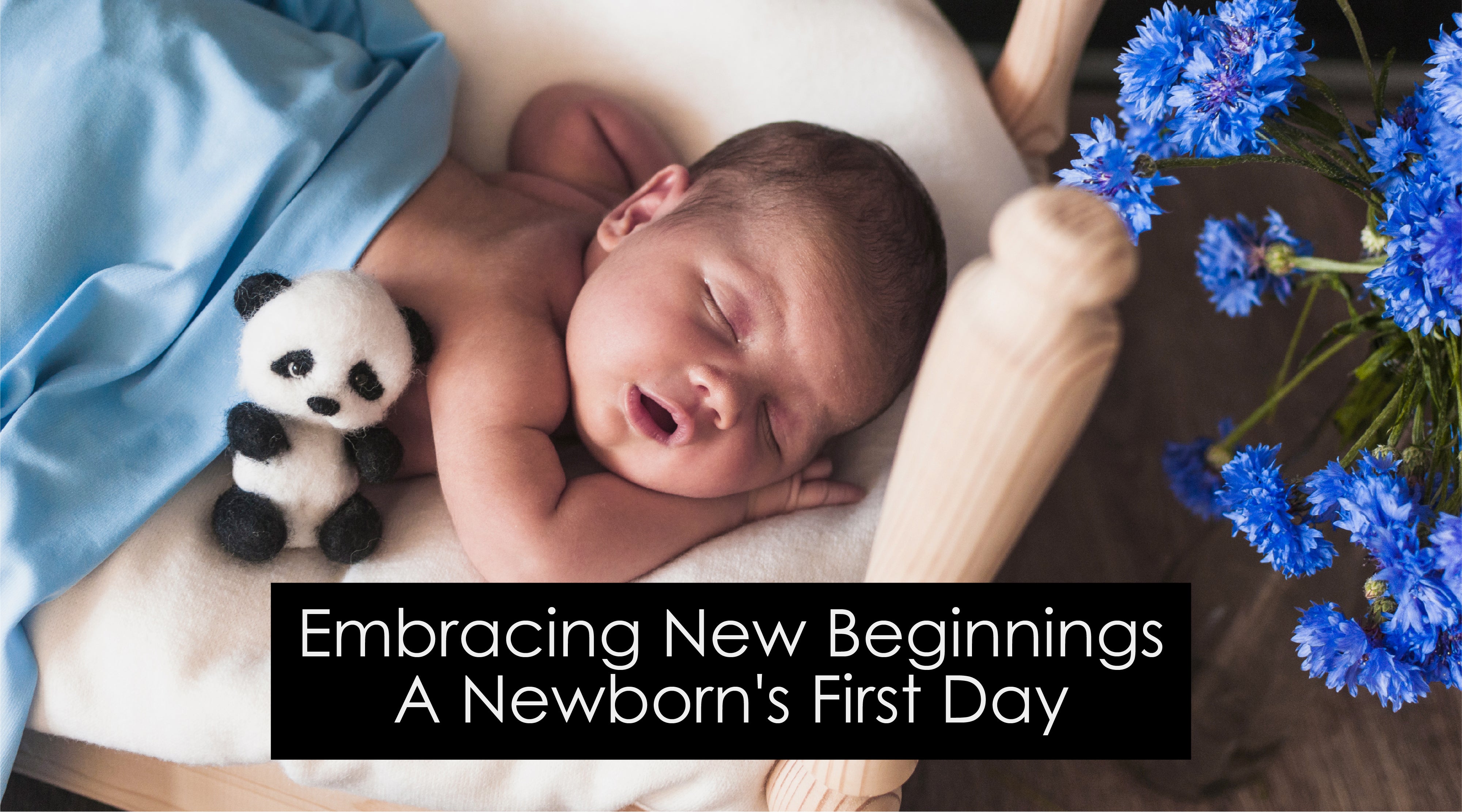 Embracing New Beginnings - A Newborn's First Day