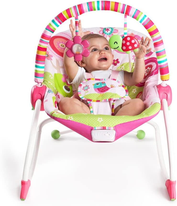 Kids2 Bright Starts Infant To Toddler Rocker Raspberry Garden