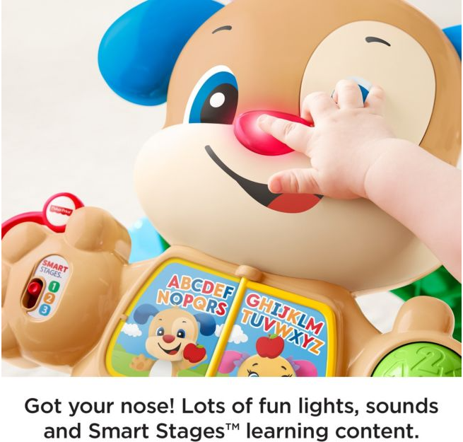 Fisher Price Smart Stages Puppy Walker