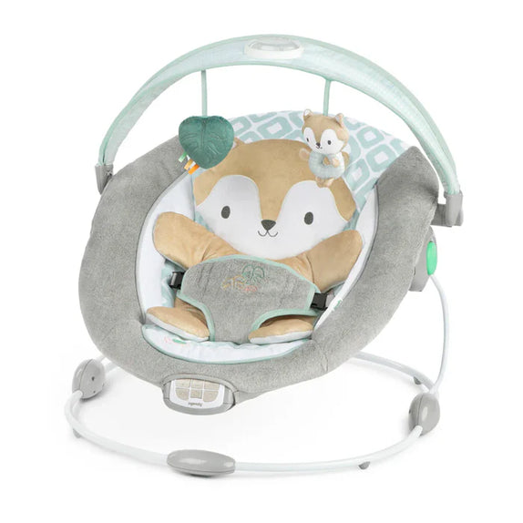 Ingenuity inlighten bouncer kitt