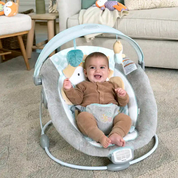 Ingenuity inlighten bouncer kitt