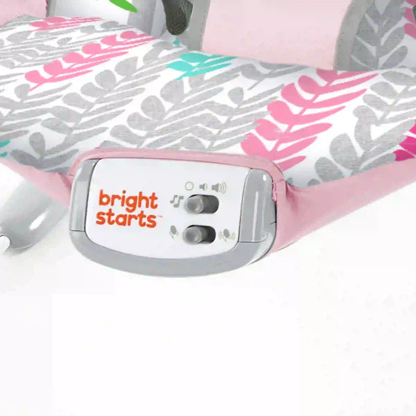 Bright Starts Cradling Bouncer Rosy Vines