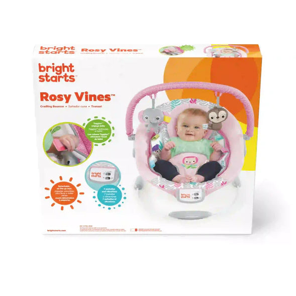 Bright Starts Cradling Bouncer Rosy Vines