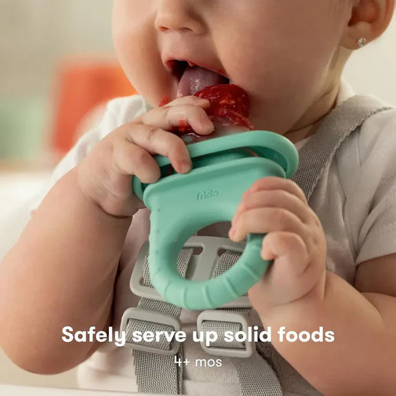 Frida baby push pop feeder