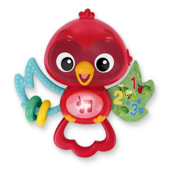 Baby Einstein Roxy's Bright Flight Musical Toy 3M+
