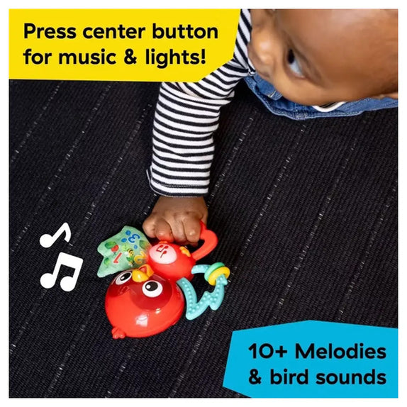 Baby Einstein Roxy's Bright Flight Musical Toy 3M+