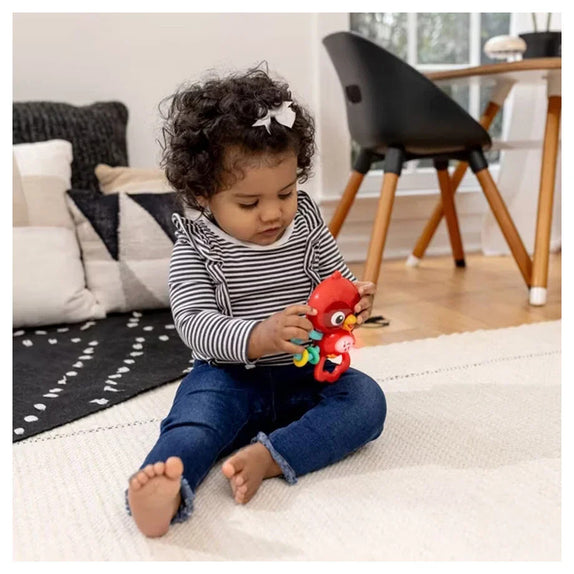 Baby Einstein Roxy's Bright Flight Musical Toy 3M+