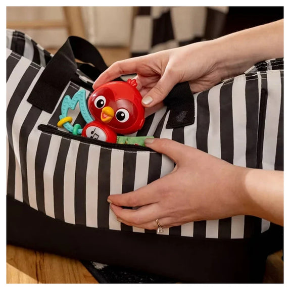 Baby Einstein Roxy's Bright Flight Musical Toy 3M+