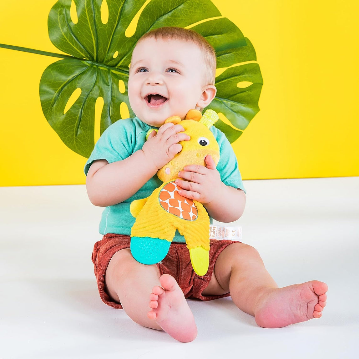 Bright Starts Snuggle & Teethe Plush Giraffe + Elephant - (0 Month+)