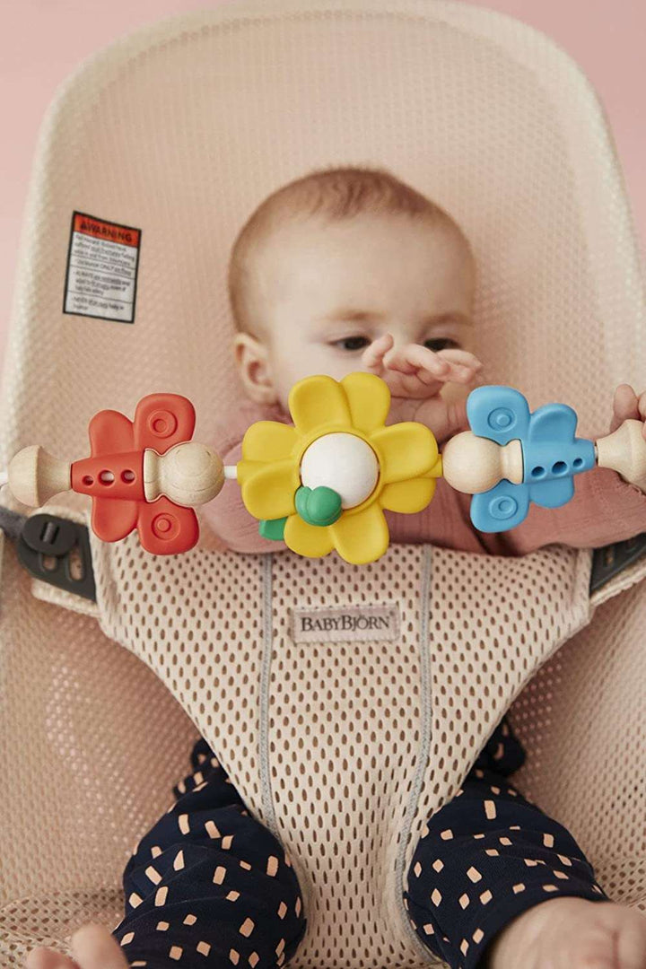 BabyBjorn Toy For Bouncer