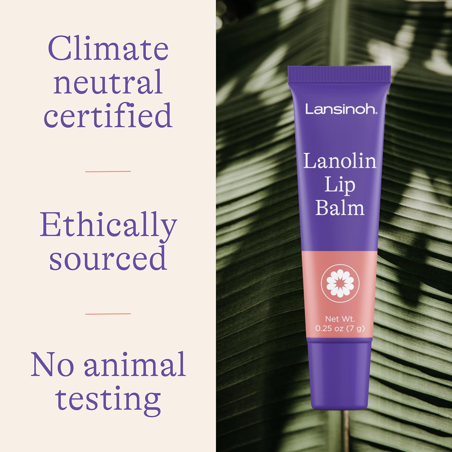 Lansinoh Lanolin Moisturizing Lip Balm – 7g