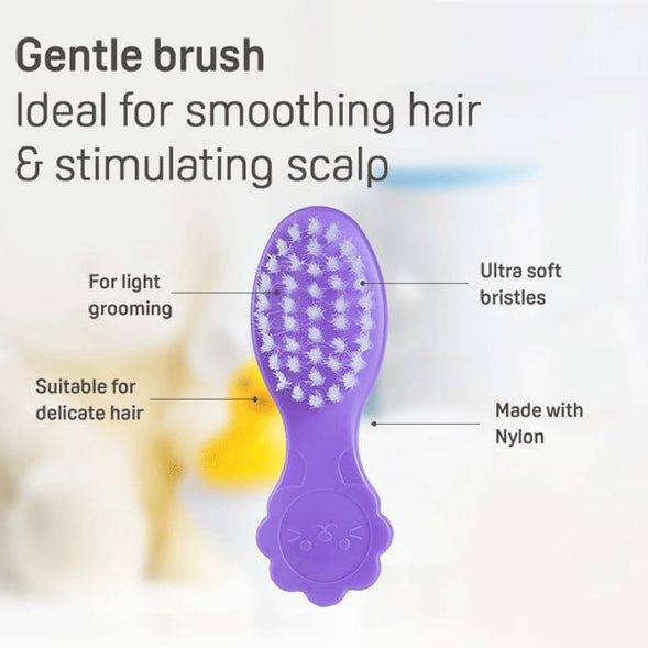 بيجون مشط وفرشاة