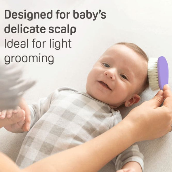 بيجون مشط وفرشاة