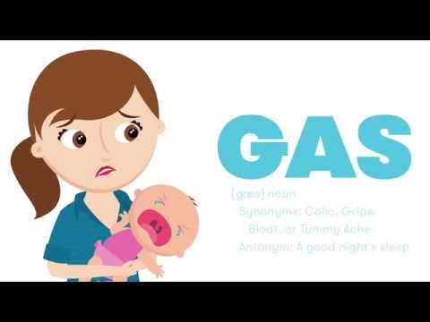 FridaBaby Windi the Gaspasser