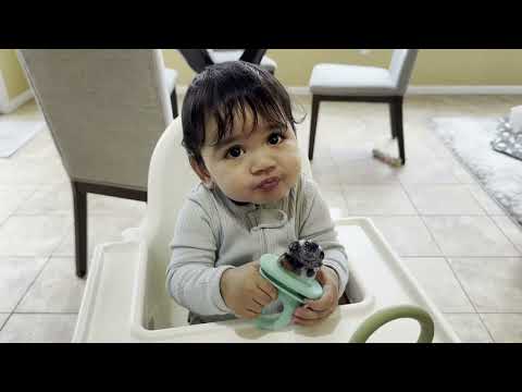 Frida Baby Push Pop Feeder – Safe Silicone Food Feeder for Babies (1-Pack, Teal)