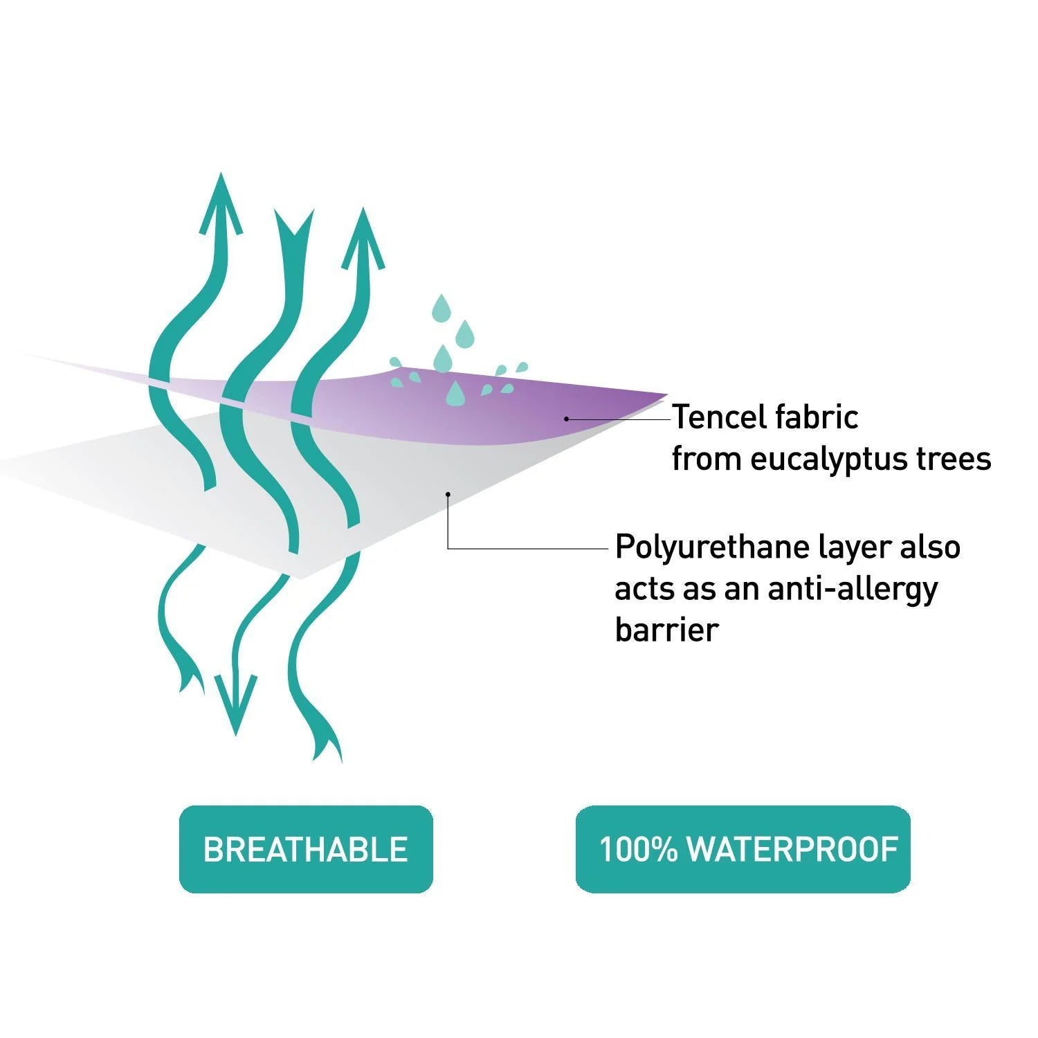 ClevaMama Tencel Fitted Waterproof Mattress Protector Cot Bed