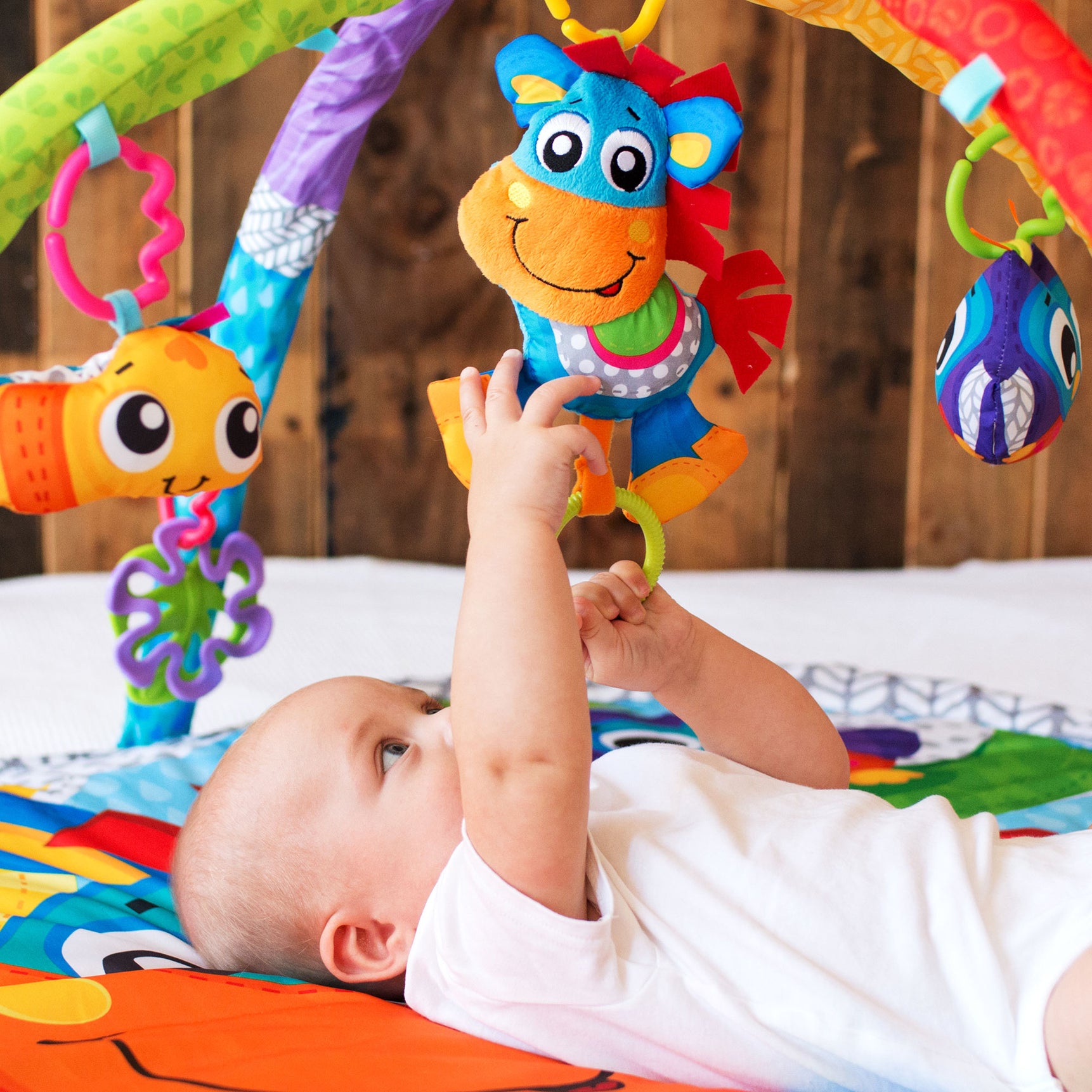 Playgro Clip Clop Musical Activity Gym - MamaApp