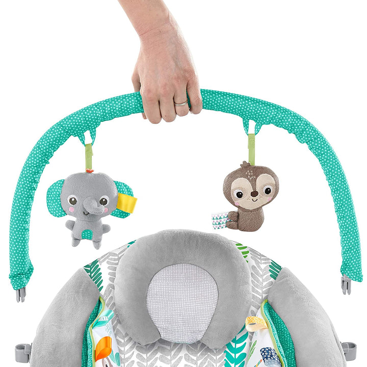 Kids2 Bright Starts Cradling Bouncer Rosy Vines