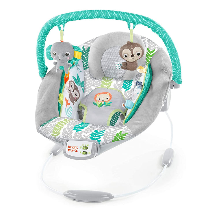 Kids2 Bright Starts Cradling Bouncer Rosy Vines