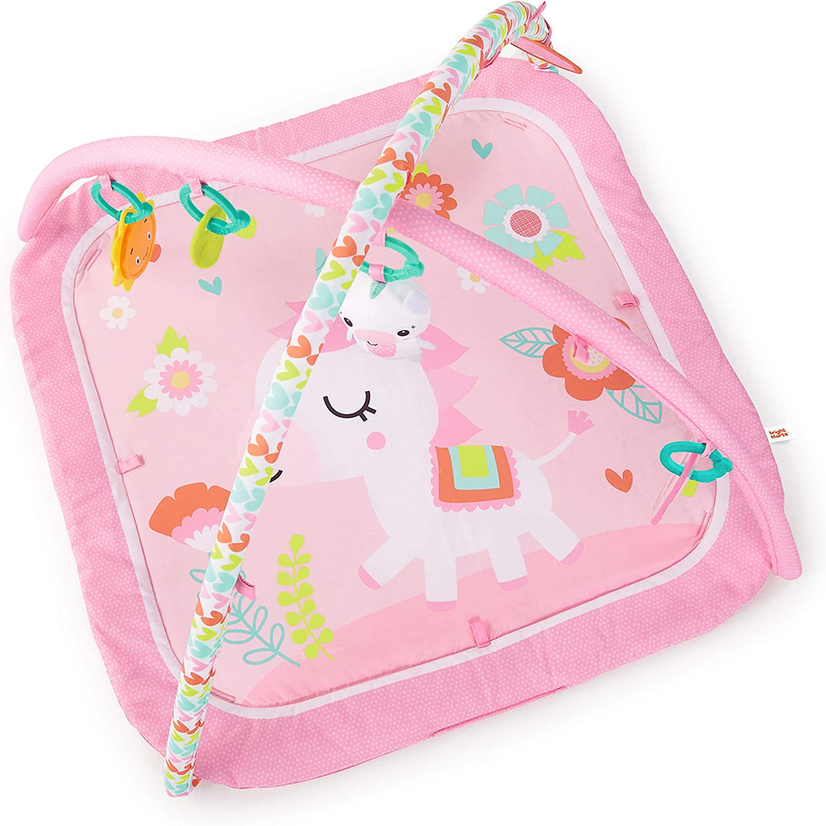 Kids2 Bright Starts Day Dream Blooms Activity Gym Refresh