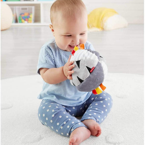 Fisher Price Have A Ball Hippo