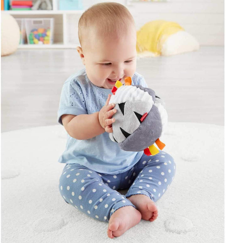 Fisher Price Have A Ball Hippo