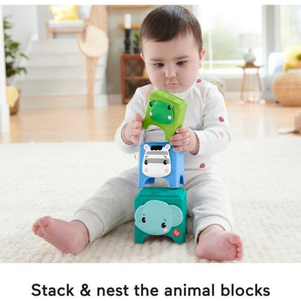 Fisher Price Hello Hands Play Kit