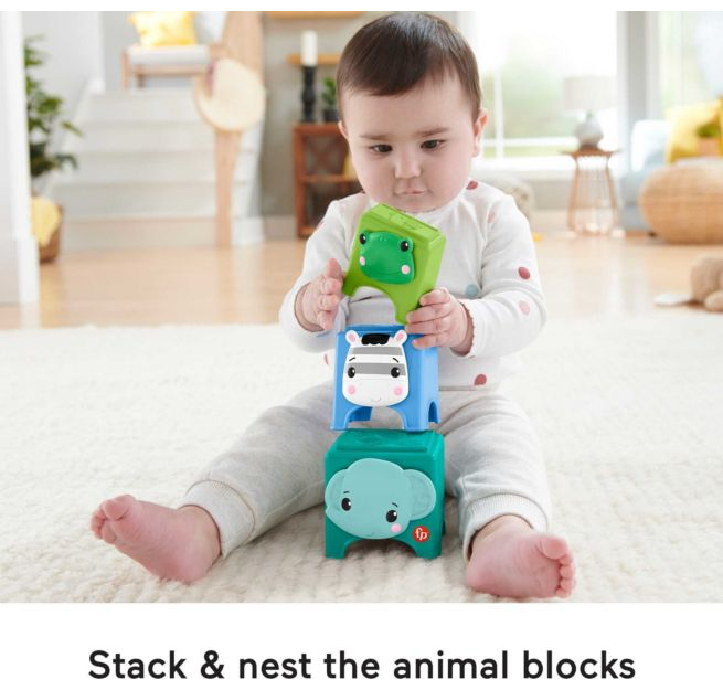 Fisher Price Hello Hands Play Kit