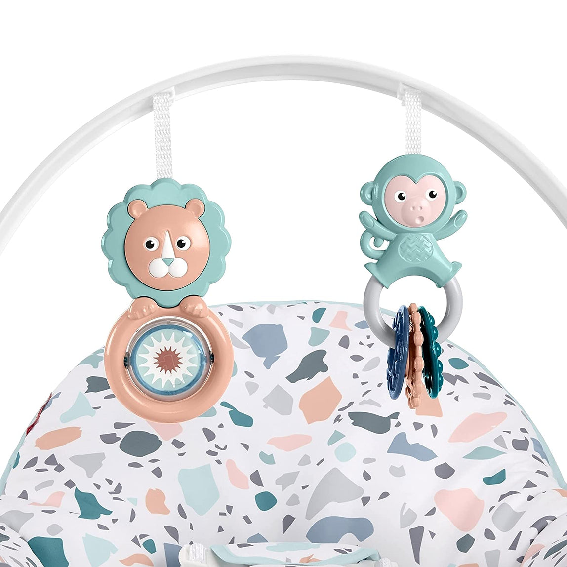 Fisher Price Infant-To-Toddler Rocker Pacific Pebble - MamaApp
