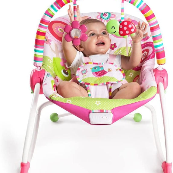 Bright Starts Infant To Toddler Rocker Raspberry Garden - MamaApp