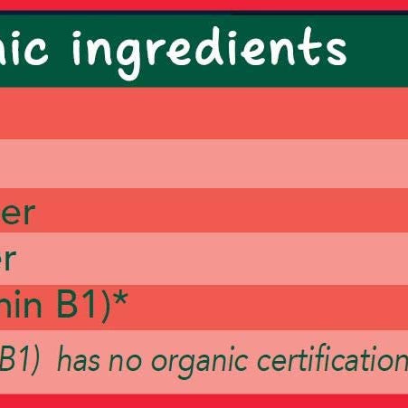 Organix Melty Tomato Slices Organic Corn Snacks