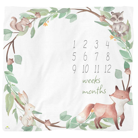 Itzy Ritzy Milestone Blanket Set - MamaApp