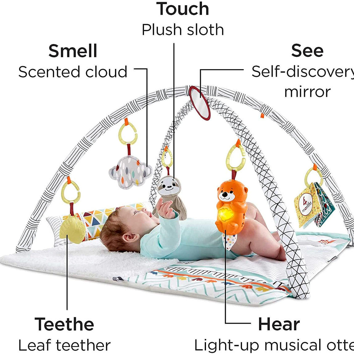 Fisher Price Perfect Sense Deluxe Gym - MamaApp