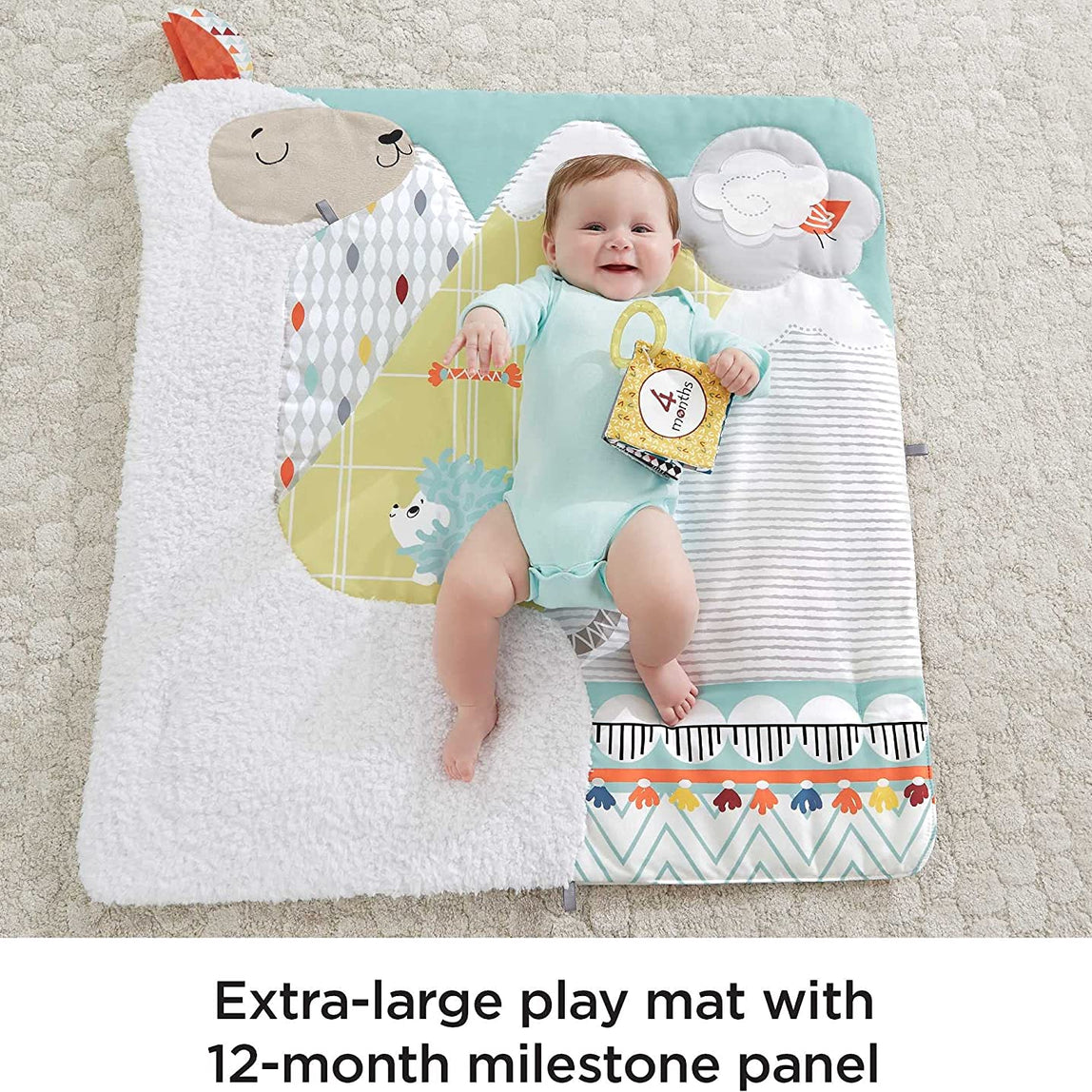 Fisher Price Perfect Sense Deluxe Gym - MamaApp