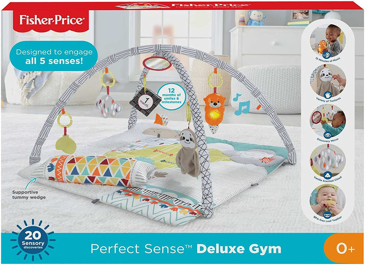 Fisher Price Perfect Sense Deluxe Gym