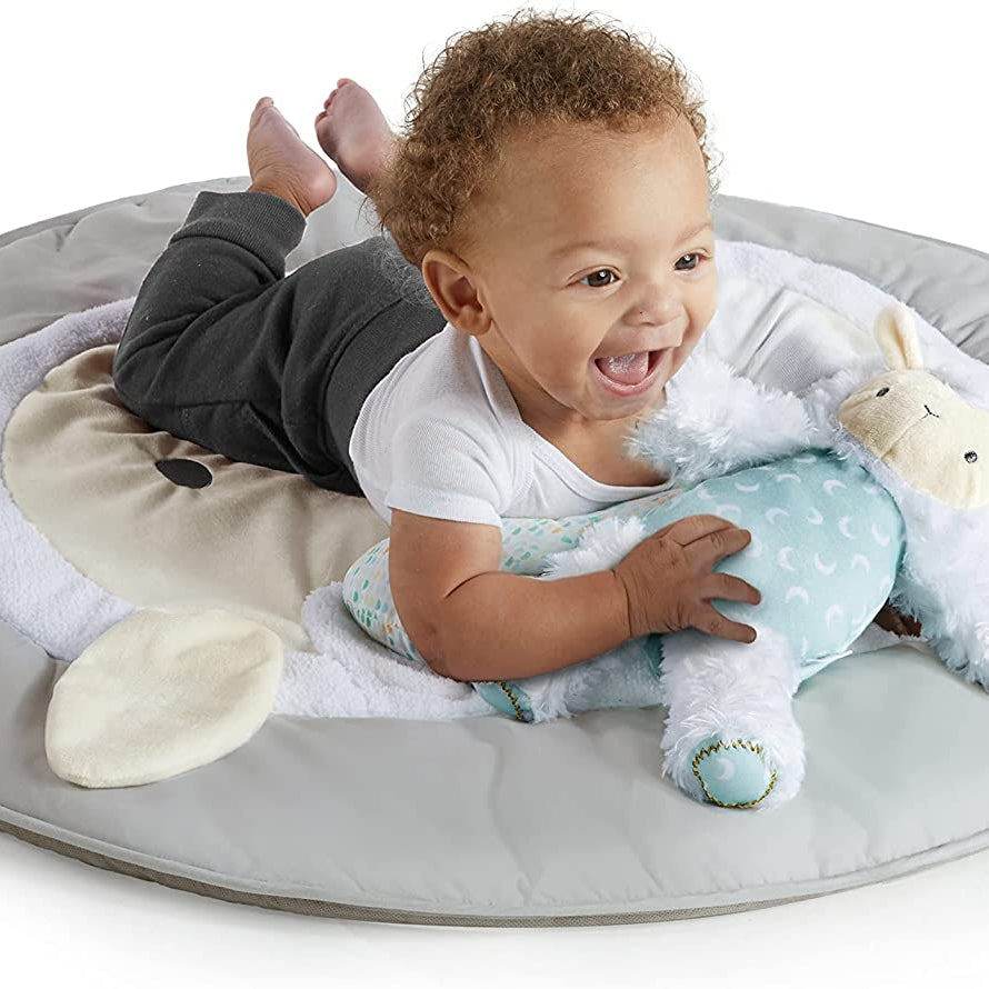 Kids2 Ingenuity Plush Euro Activity Gym