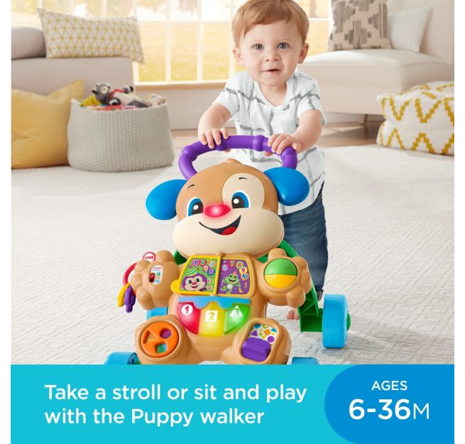 Fisher Price Smart Stages Puppy Walker
