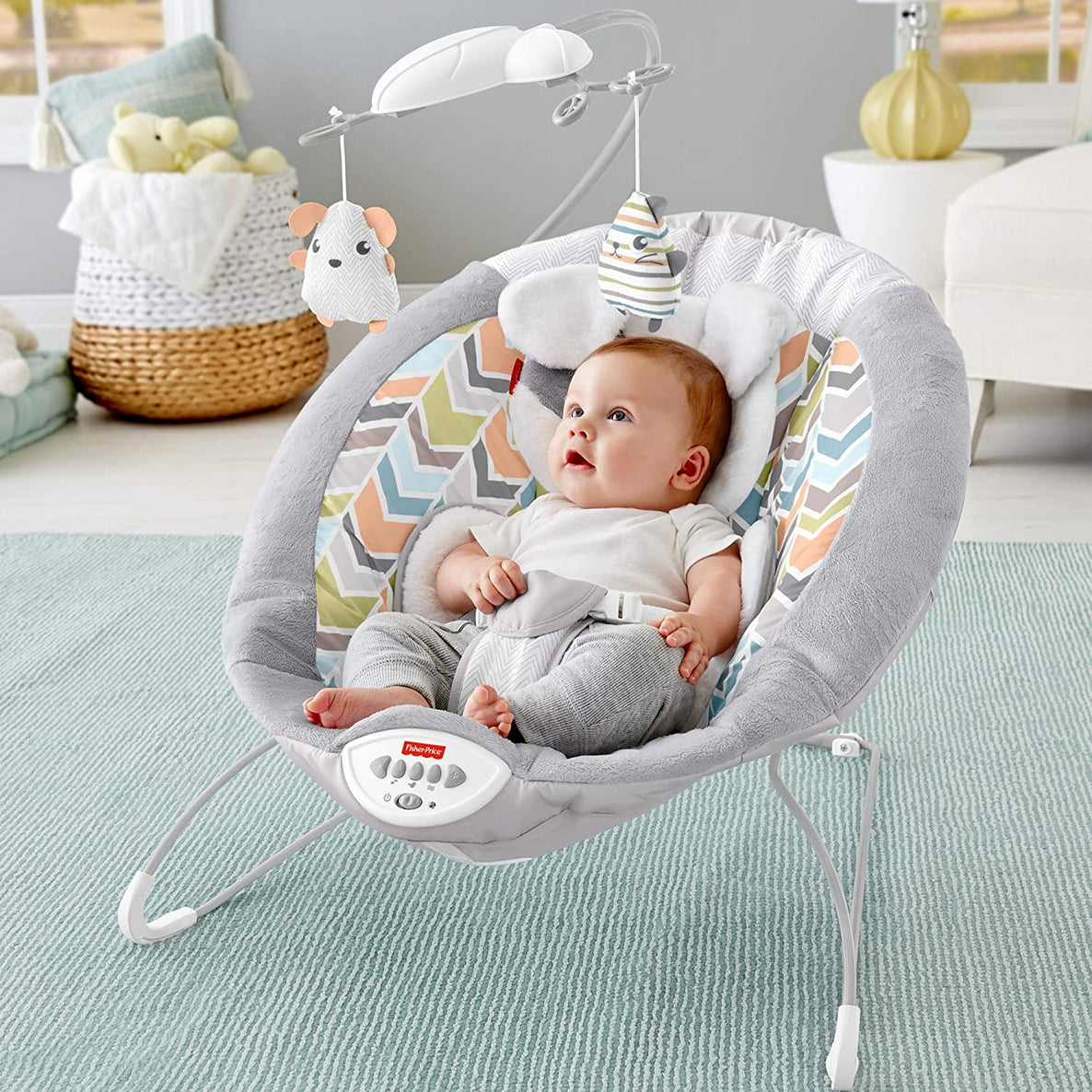 Fisher Price Snugapuppy Deluxe Bouncer