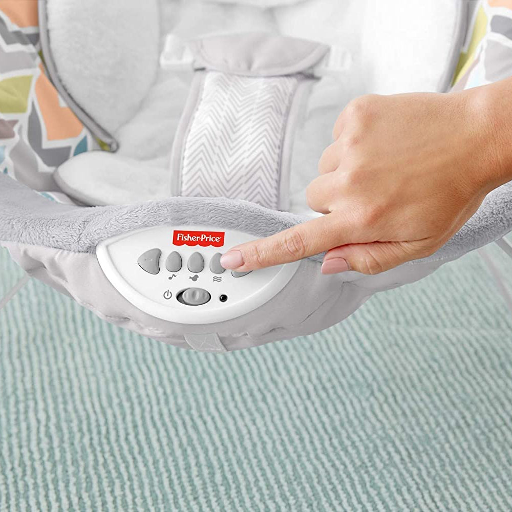 Fisher Price Snugapuppy Deluxe Bouncer