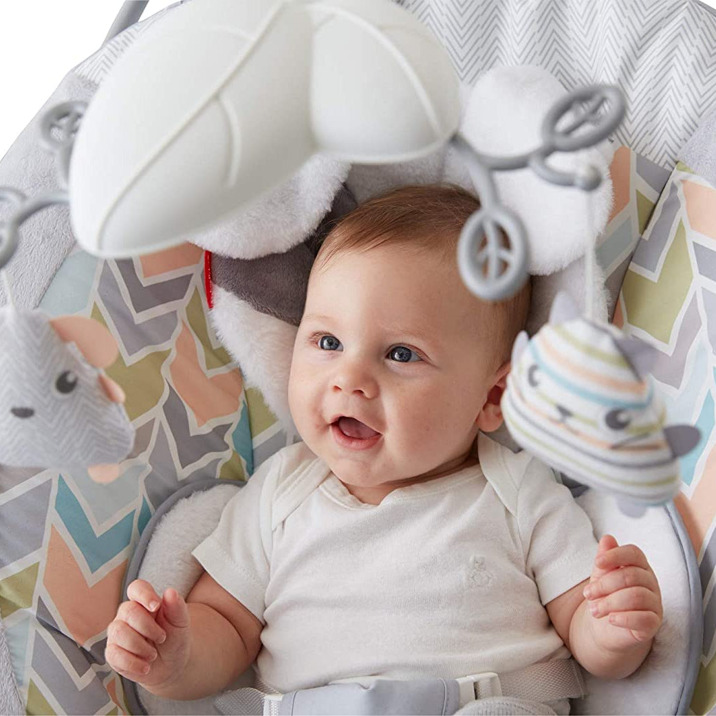 Fisher Price Snugapuppy Deluxe Bouncer