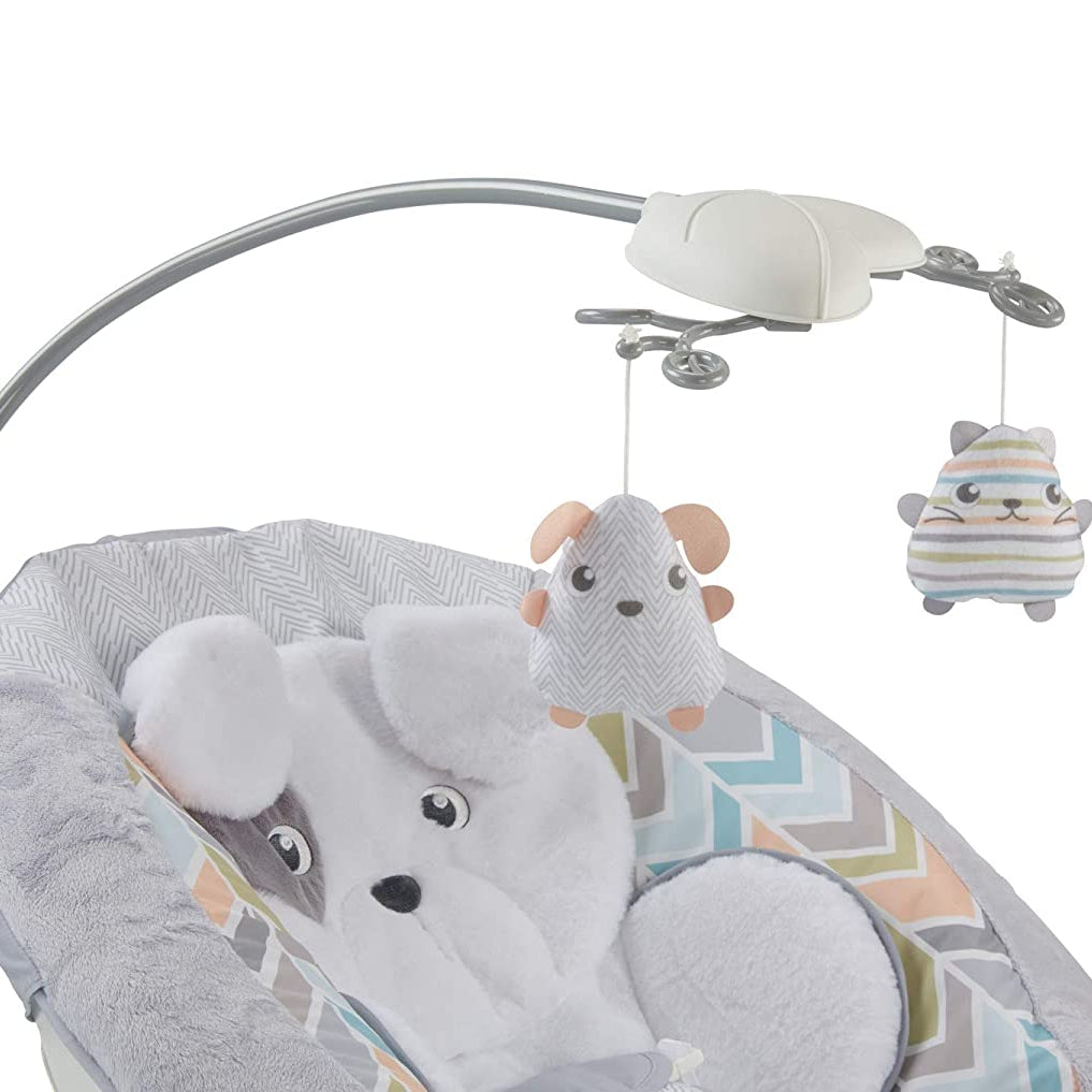 Fisher Price Snugapuppy Deluxe Bouncer