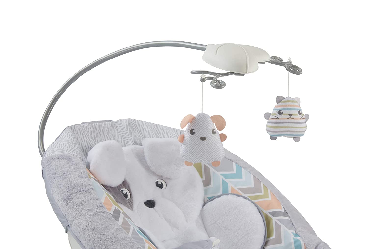 Fisher Price Snugapuppy Deluxe Bouncer