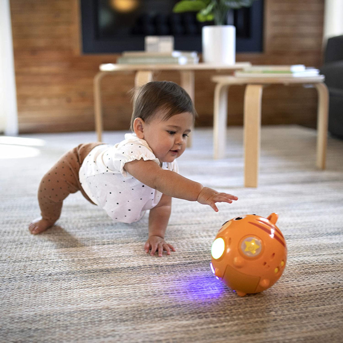Baby Einstein Tinker's Crawl Along Songs Tummy-Time Musical Toy with Lights - MamaApp