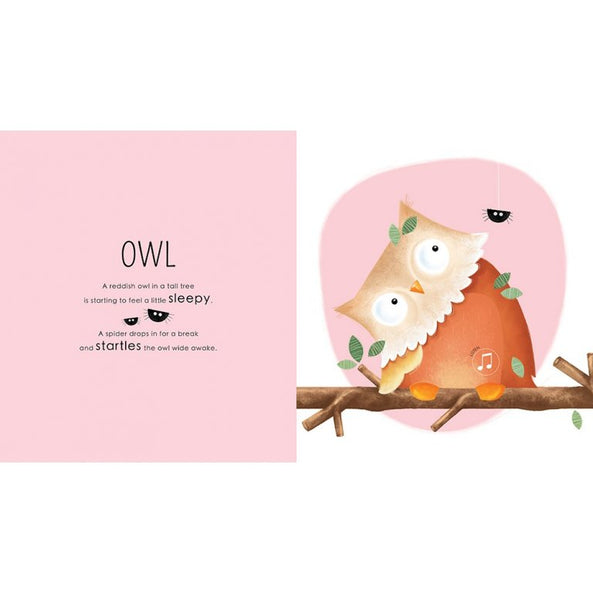 Sassi Junior Who Lives in the Wood